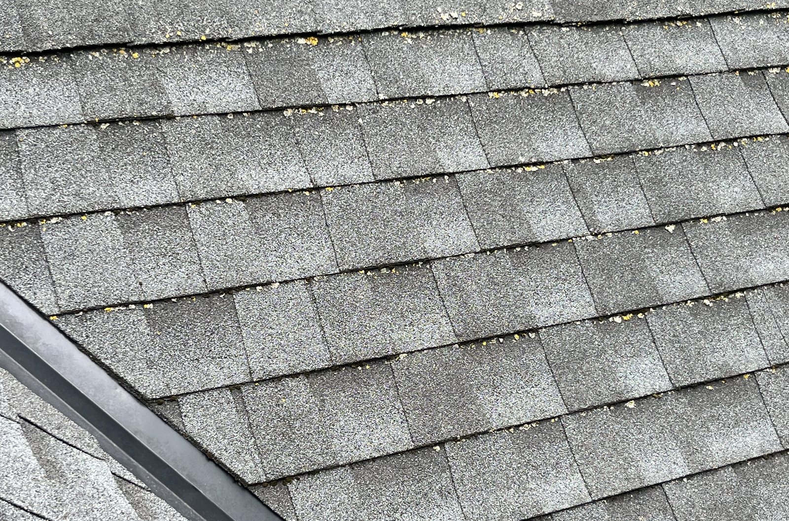 Aging shingles with granule loss and lichen growth along the seams