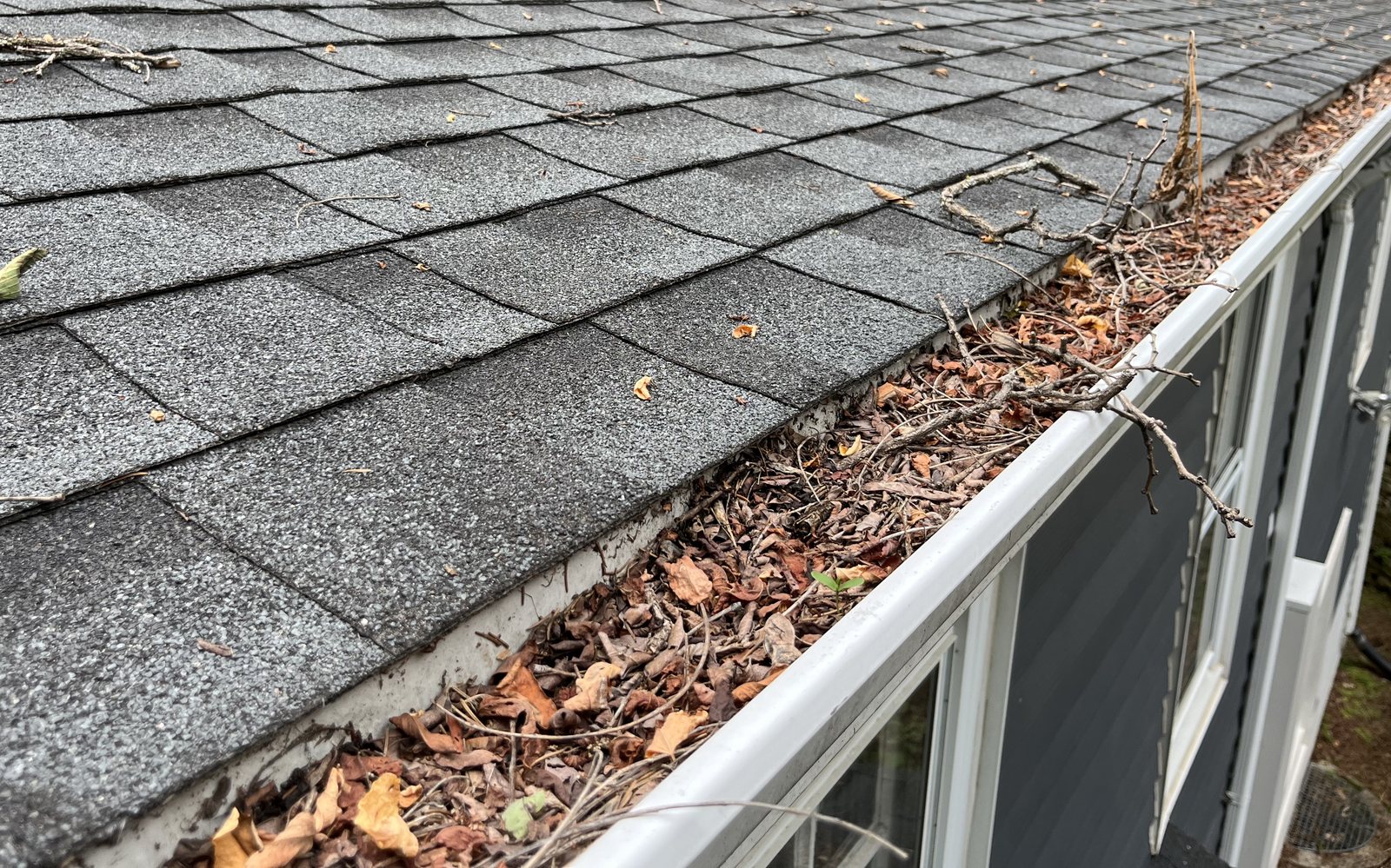 Gutter packed with leaves and twigs at the roof edge