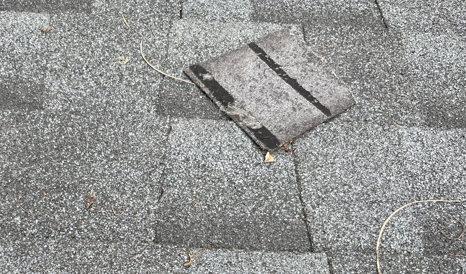Shingle lifted at the seal strip after wind