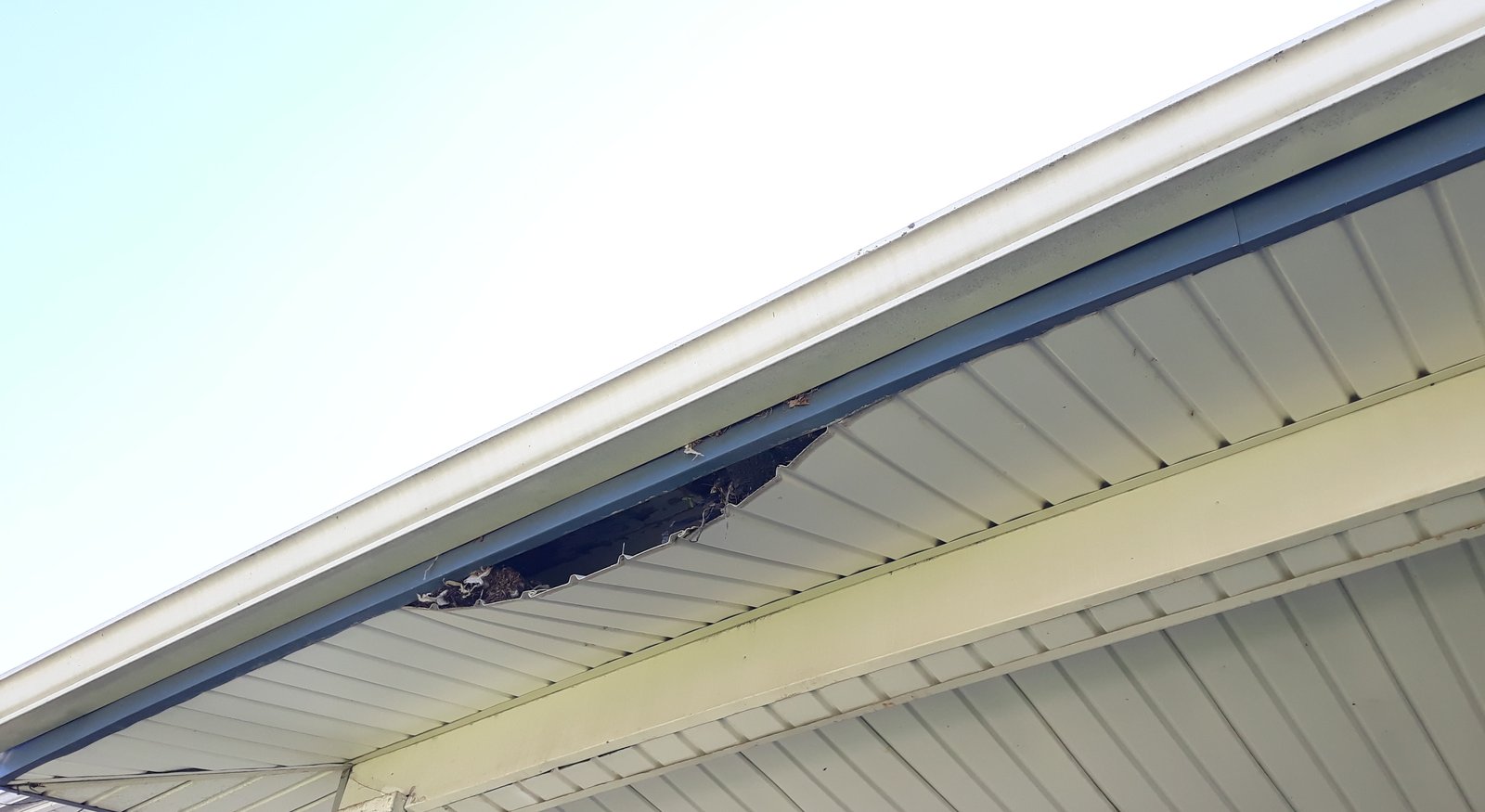 Vinyl soffit torn open with debris visible inside